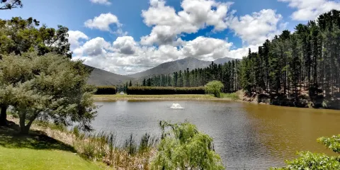 Hamilton Russell Vineyards