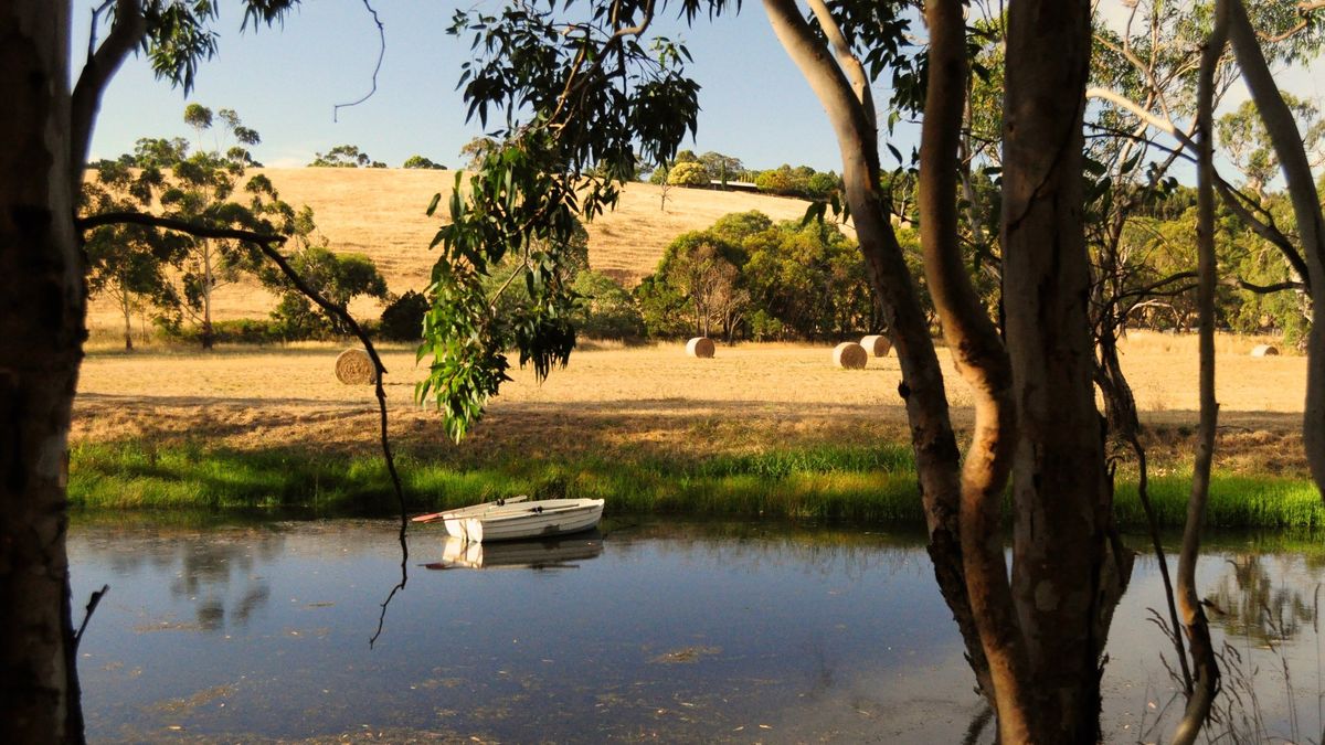 Fleurieu Hills Vineyards