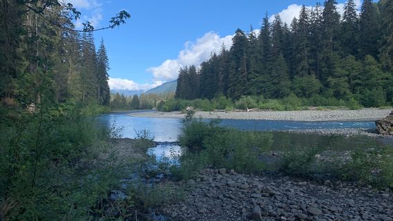 Hoh River Trailhead
