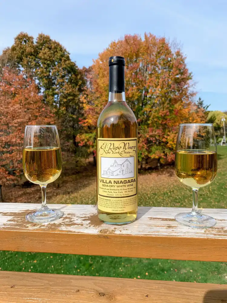 Hotels in Ulster Park