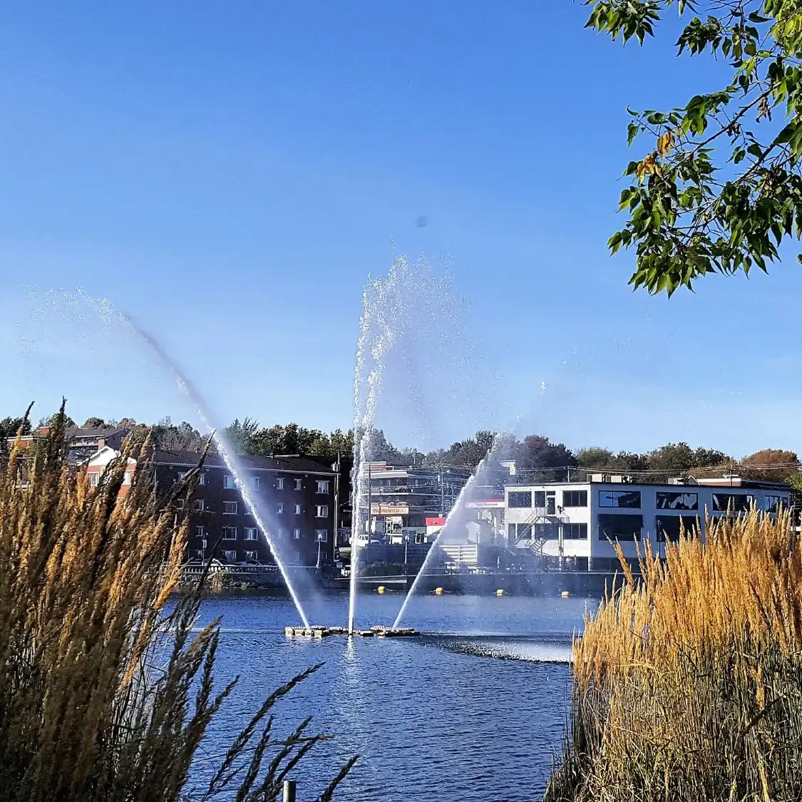 Hotels near Lac des Nations