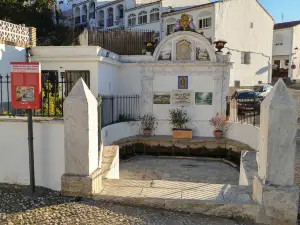 Fuente de los Doce Canos