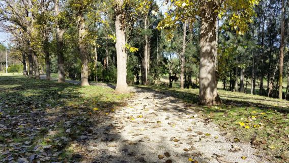 Picton Botanic Gardens