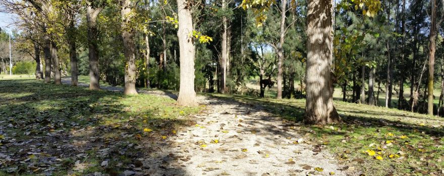Picton Botanic Gardens
