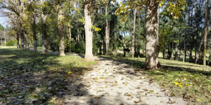 Picton Botanical Gardens