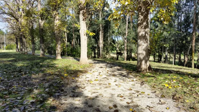 picton