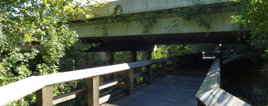 Timmerman Trail