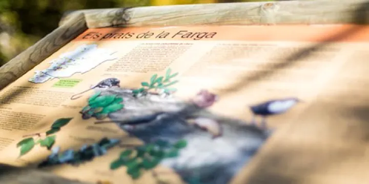 Mirador Prats de la Farga