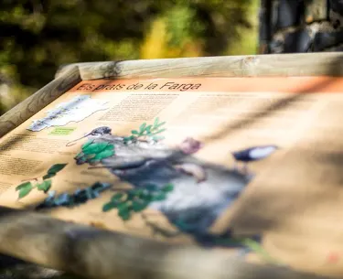 Mirador Prats de la Farga