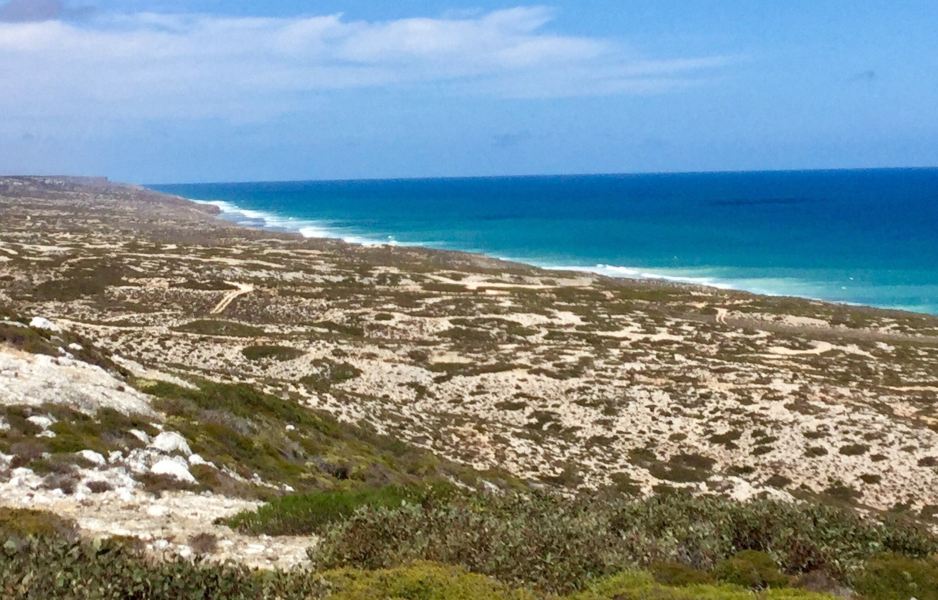 Vuelos ${{cityDName}} Eucla