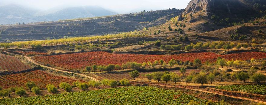 Bodegas Marques de Reinosa