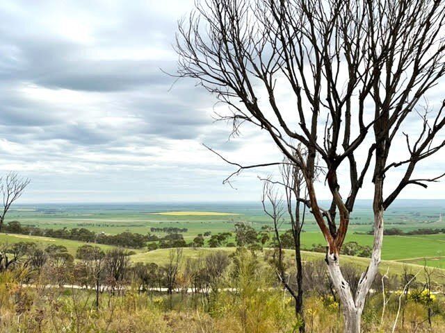 Brooks lookout