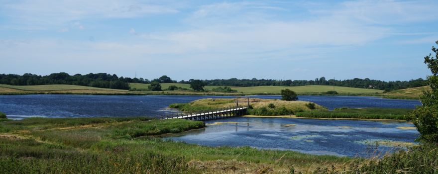 Næsholm Borgruin