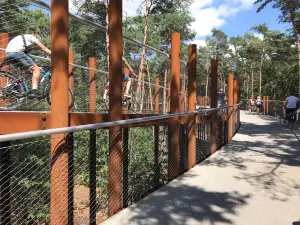 Fietsen Door De Bomen