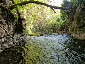 Cascada de agua en Riofrío