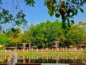 Hồ Sen
