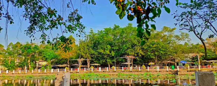 Hồ Sen