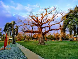 シンクエンテナリオ公園