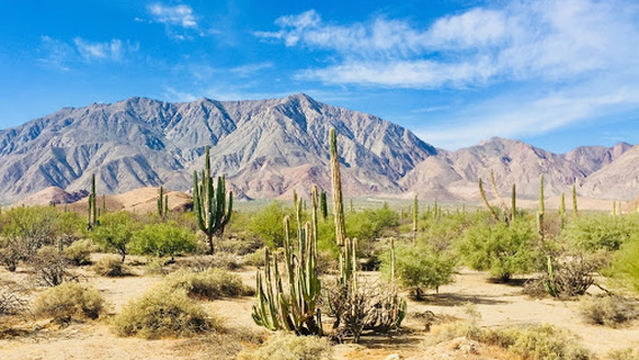 Bahia De Los Angeles Baja California