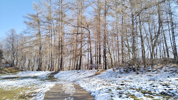 Křížová cesta sv. Petra a Pavla