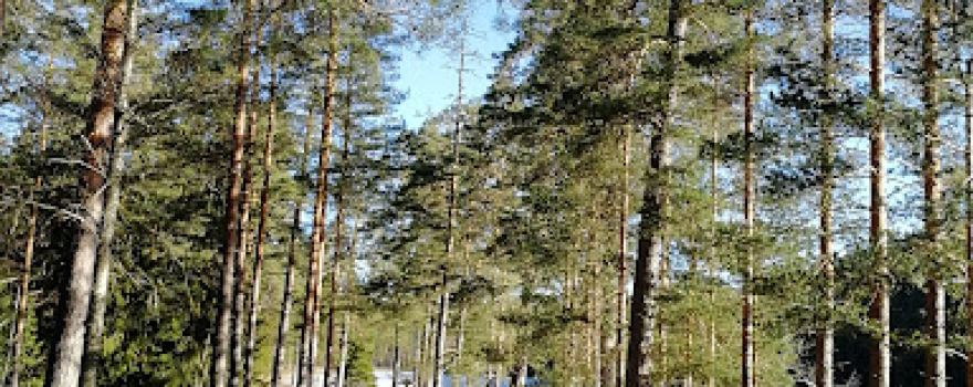 Lilla Djurlången