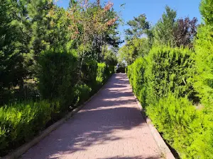 Tavusbaba Tepesi