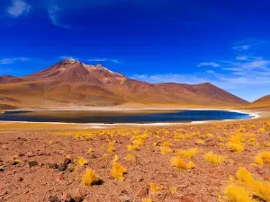 Mirador Lago Chungará