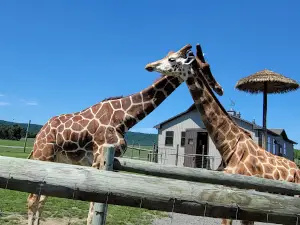 Lake Tobias Wildlife Park