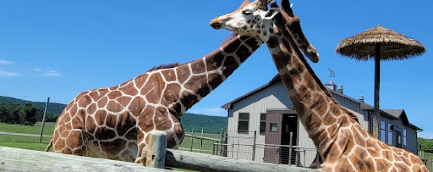 Lake Tobias Wildlife Park