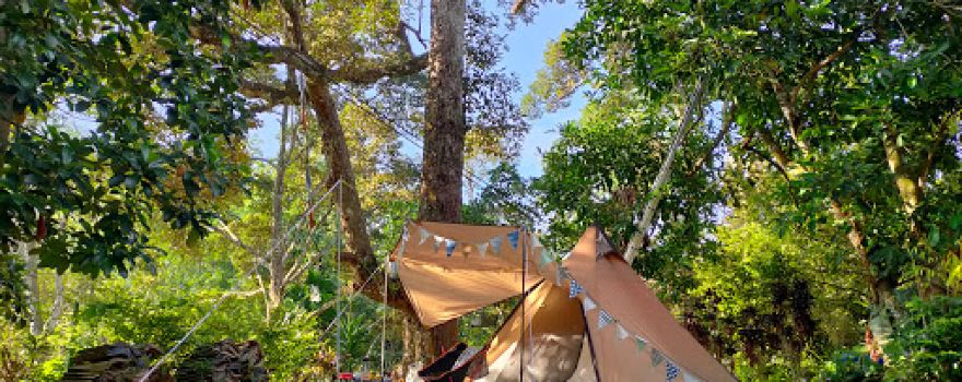 Metta Lodge