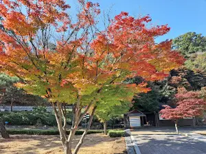 The Shrine of Our Lady of the Rosary of Namyang