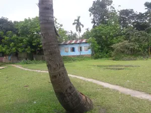 Agriculture Field