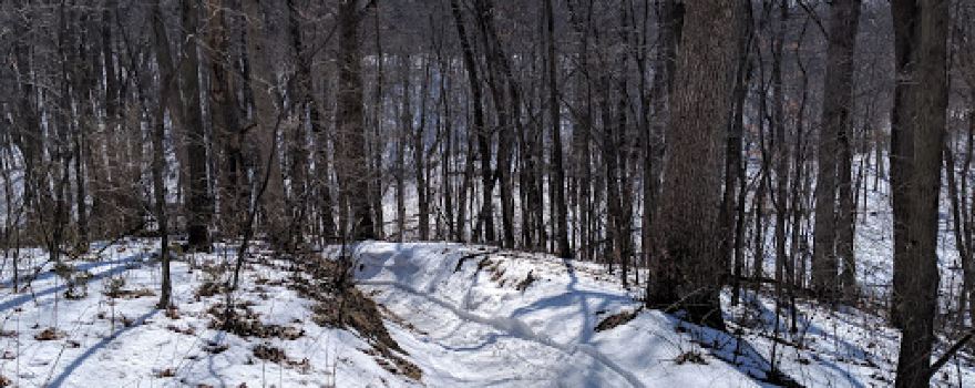 Ortonville Recreation Area