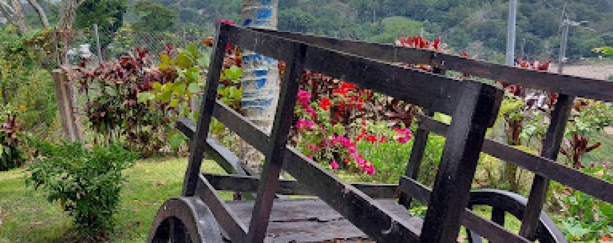 Finca San Carlos