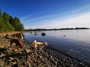 Ljusnefors Camping