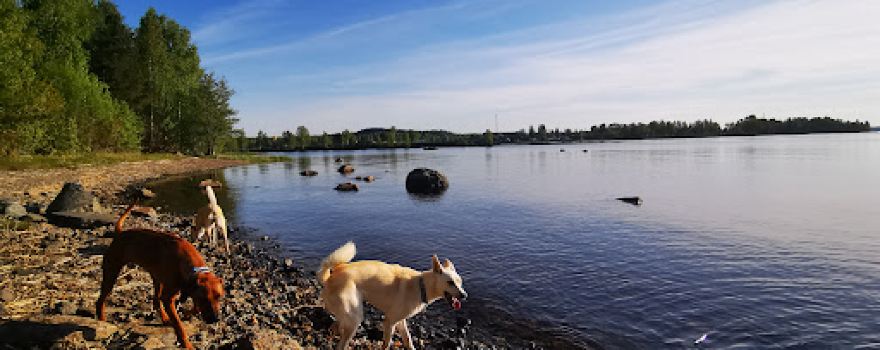 Ljusnefors Camping