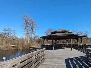 Lake City Park