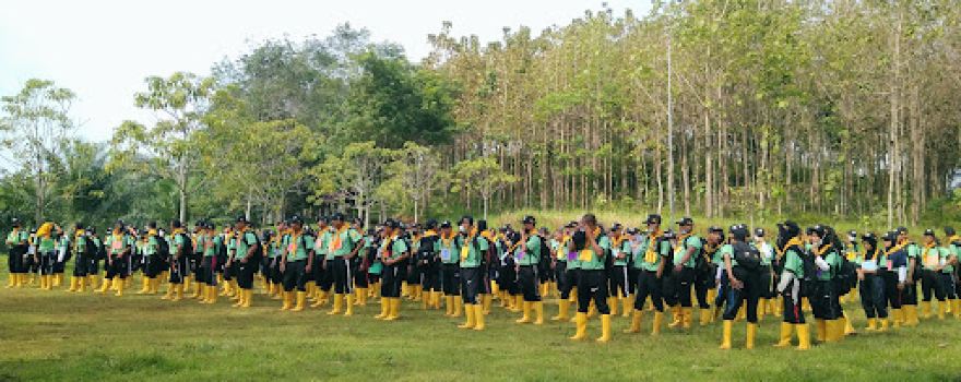 SEAT Official (Stiper Edu Agro Tourism)
