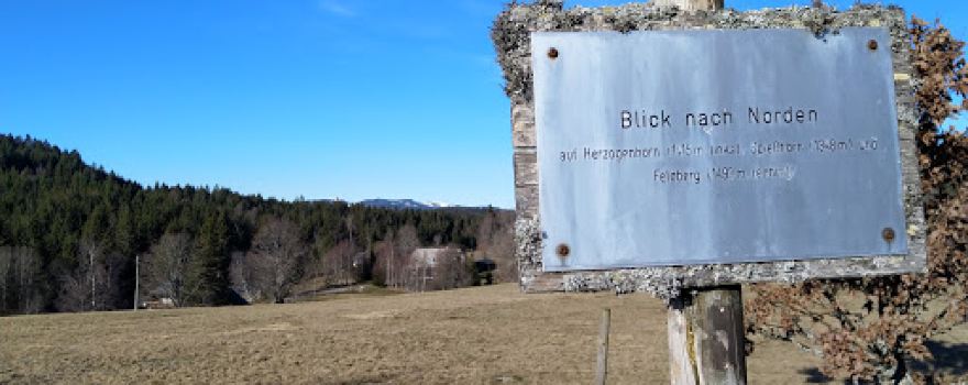 Horbacher Moor