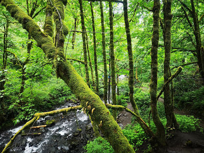 Bridal Veil Falls