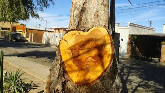 Parque Paseos Del Sol