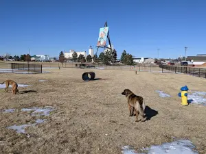 Pioneer Dog Park