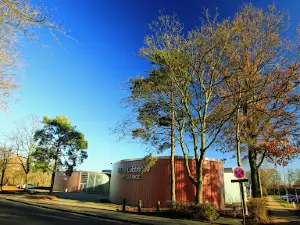 Merkur Arena