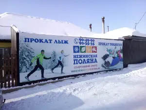 Nezhinskaya Polyana