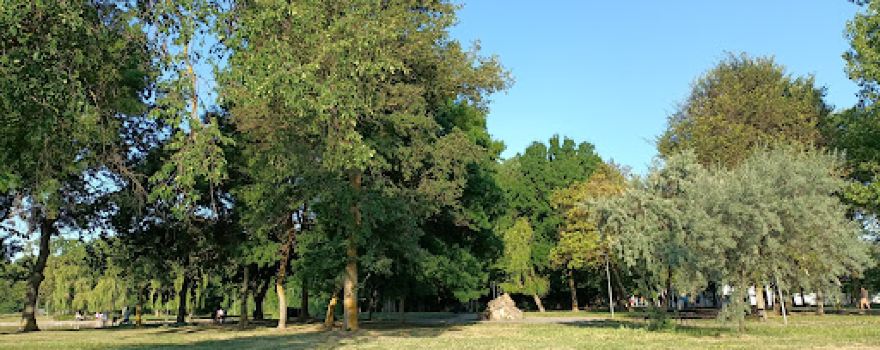 Lacul Neptun II