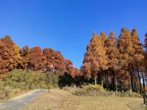 メタセの杜