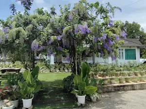 Zety Roses Garden & Farm