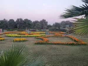 Imran Khan forest park
