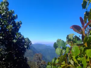 Ecológico Park