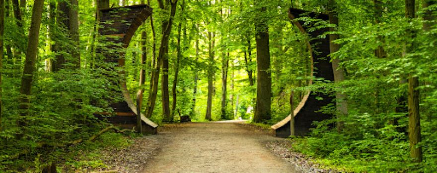 Nationalparkzentrum am Baumkronenpfad